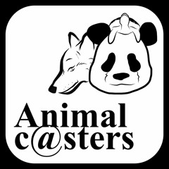 Stream 青空キャンバス By Animal C Sters Listen Online For Free On Soundcloud