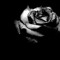 Ali Lks