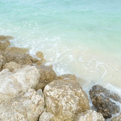 ヾ(＠⌒ー⌒＠)ノ