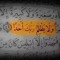 Mohammad A Abo Eldahb