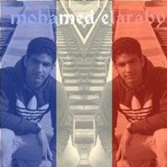 محمد العربى