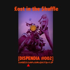 Lost in the Shuffle