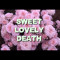 xGlitchx