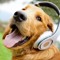 MuSiK LiVe GoOd