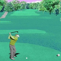US Golf 95