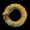 Bateria Ouroboros