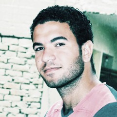 Eng-Mohammed Saber