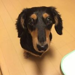 荒木廣斗