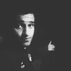 Hussein EL Araby