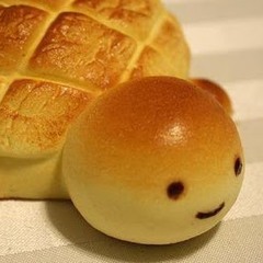 Zeldas Lullaby Violin Cover Taylor Davis