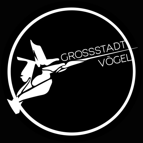 Grossstadtvögel artist photo