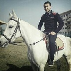 Mrsaad Ammar