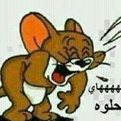 Fady Aboalezz