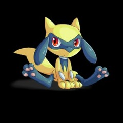 Lucarioboy 19