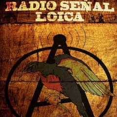 Señal Loica 2da Temp