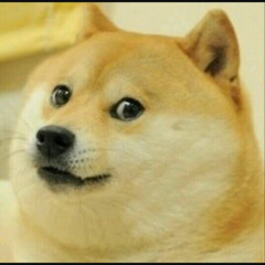 Doge Bark