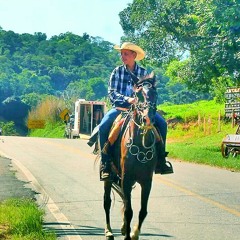 samba e pagode