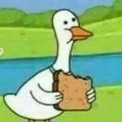 pato