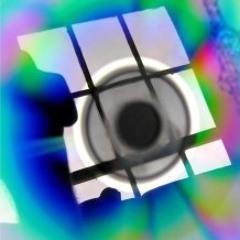 Mkmc Musickilledmycat