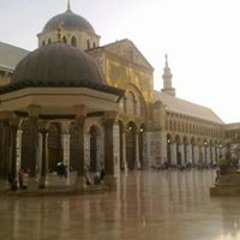 Mohammed Saria