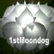 1stmoondog