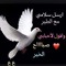 أحمد جارح النسور