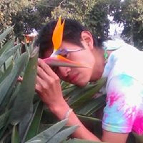 Dulio Ramos’s avatar