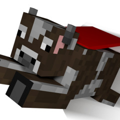 Minecraft Modders
