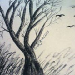 رسامة هاوية ومبتدئة