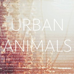 Urban Animals