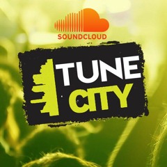 TuneCity RePosts