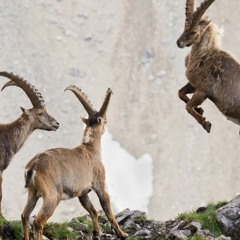 Berchtesgaden