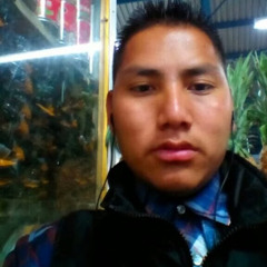 Felipe Guzman Mendoza