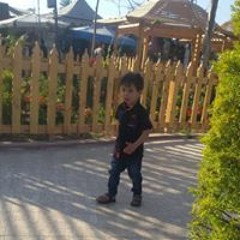 حمدى بركات