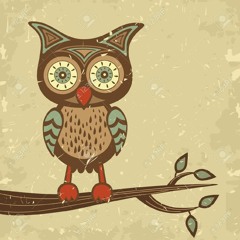 Digital Owl