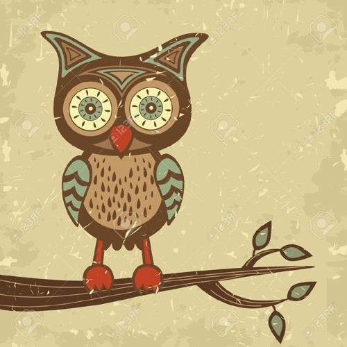 Digital Owl’s avatar