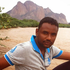 ahmed ali