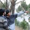 S Faisal