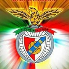 Enzo Cassiano Nguamba