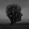 Songe