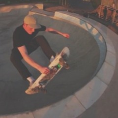 Steviebiz