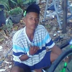 PL Safadex