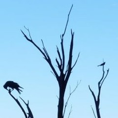 UndergroundBalloonService