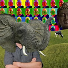 pohnjhilbin_archives2