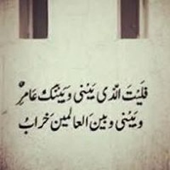 Nony Elkady