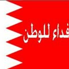 حسن ابو علي