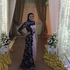 Alaa Mohamed 111
