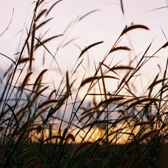 maaneewaan