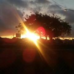 annuao1966@gmail.com