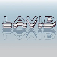 LAVIDMat